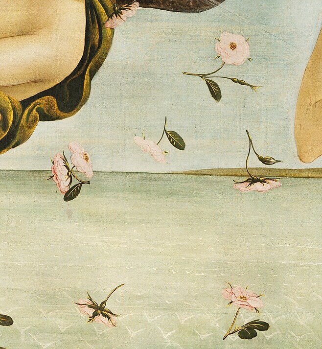 Pink roses falling through the air over the sea