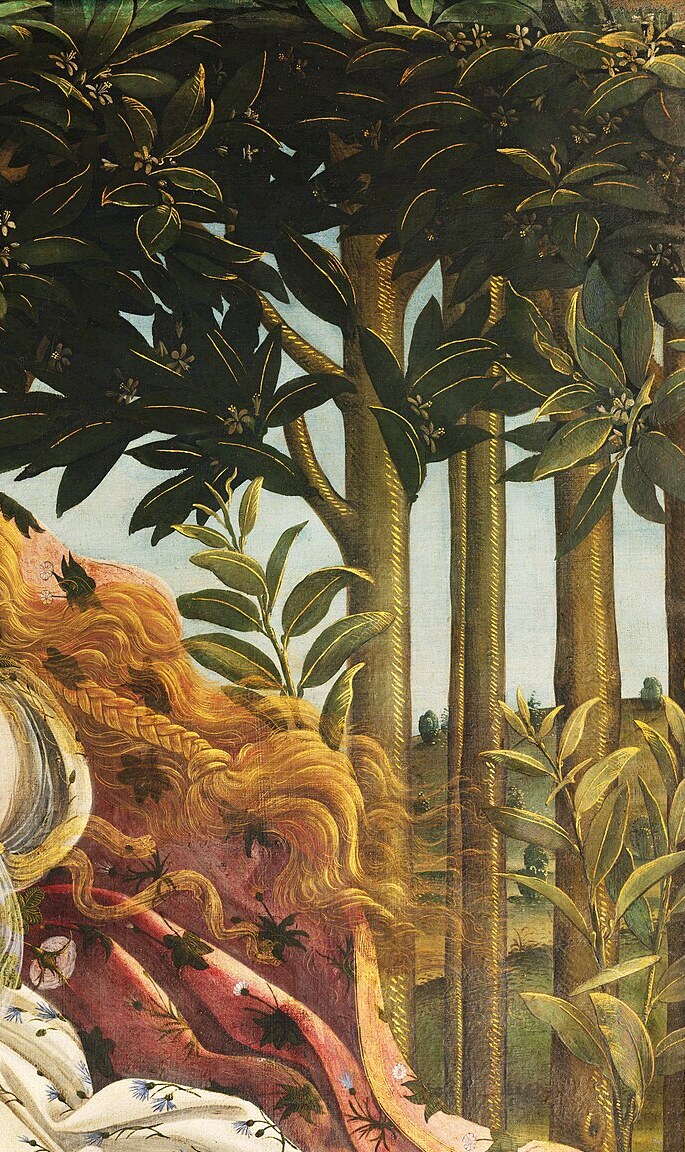Tall orange trees with dark leaves and gilded blossoms on the right