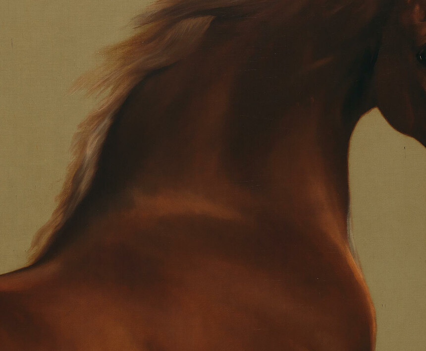 The muscles of Whistlejacket's chest and shoulder under a gleaming chestnut coat