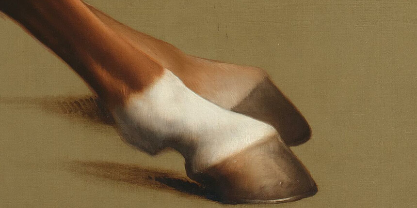 Whistlejacket's hind hooves and their shadow on the bare ochre ground
