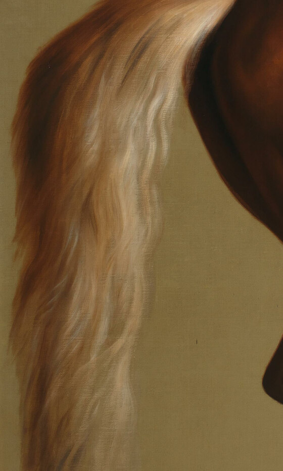 Whistlejacket's pale flowing tail against the empty ochre background