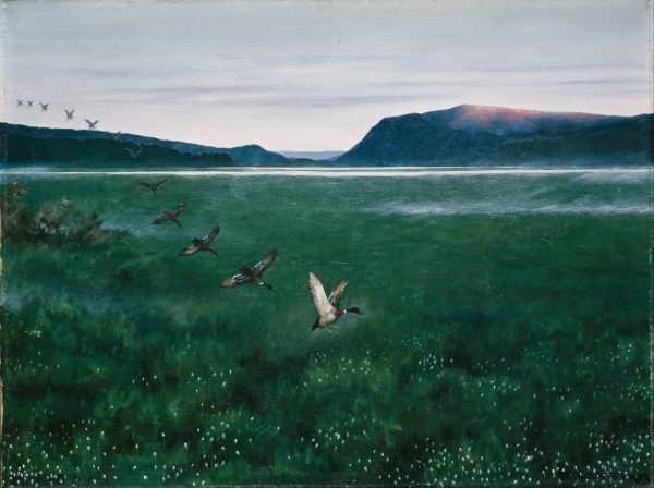 12 Villender by Theodor Kittelsen