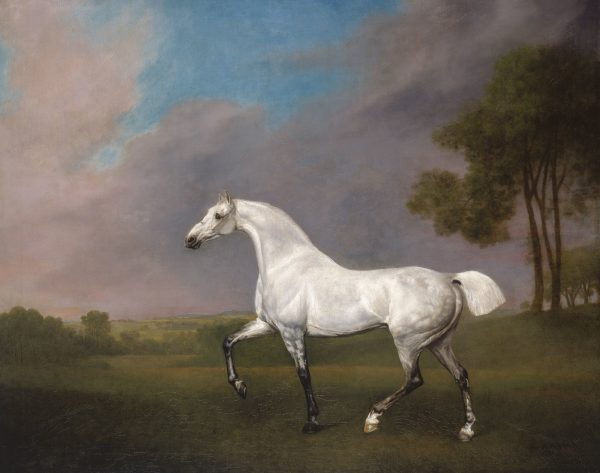 A Grey Horse by George Stubbs