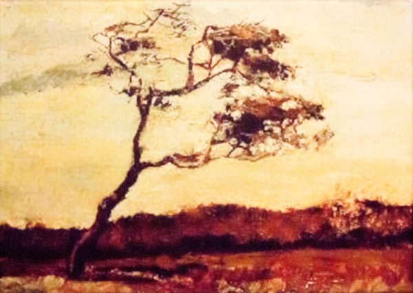 A Wind Beaten Tree by Vincent Van Gogh