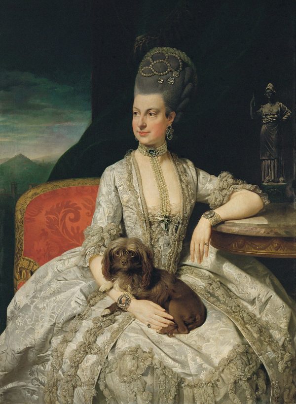 Archduchess Maria Christina by Johann Zoffany