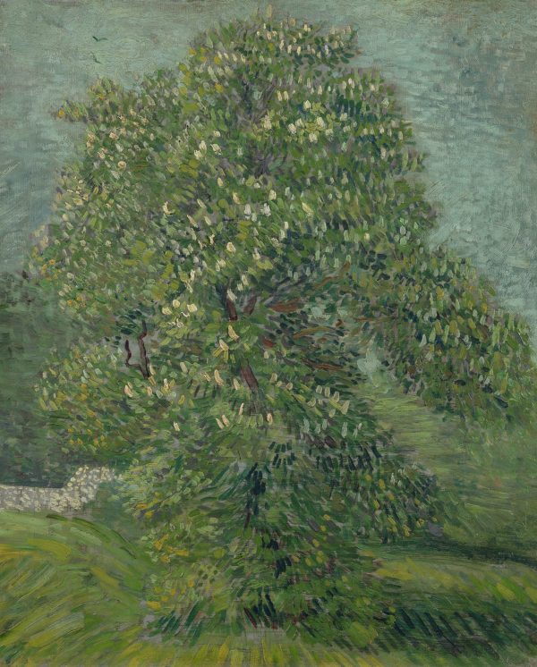 Chestnut Tree in Blossom by Vincent Van Gogh