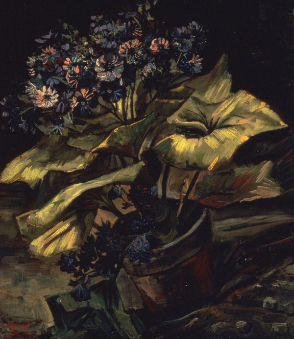 Cineraria in a Flowerpot by Vincent Van Gogh