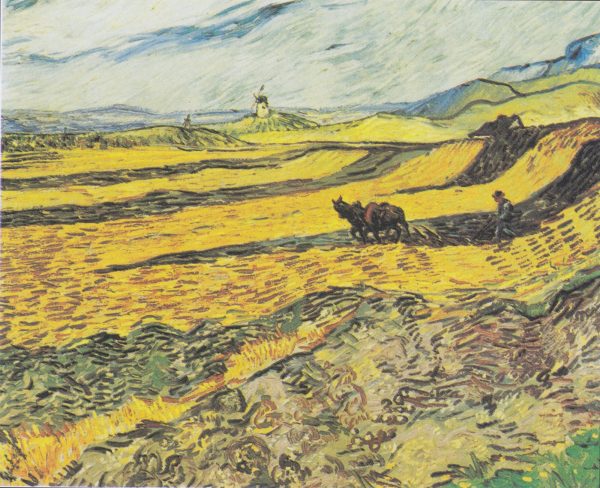 Enclosed Field with Ploughman by Vincent Van Gogh