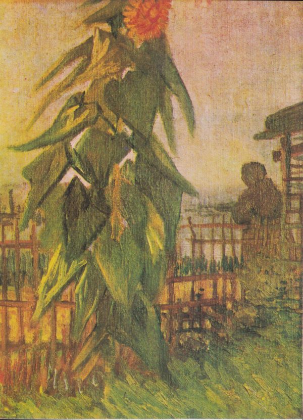 Garden with Sunflowers by Vincent Van Gogh