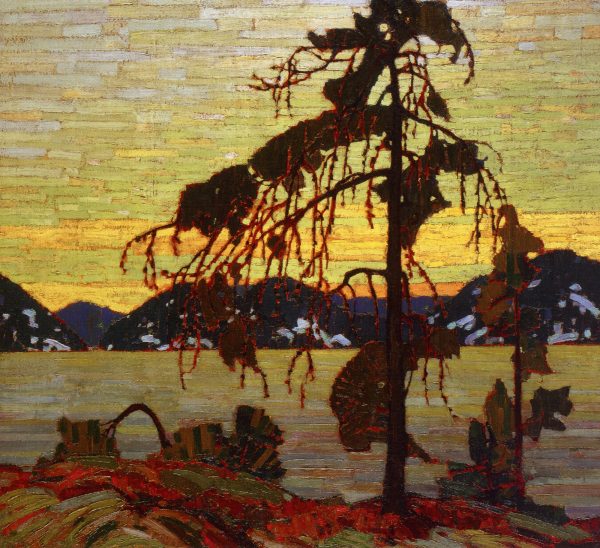 Jack Pine by Tom Thomson