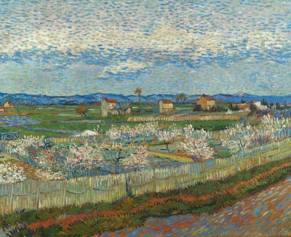 La Crau with Peach Trees in Blossom by Vincent Van Gogh