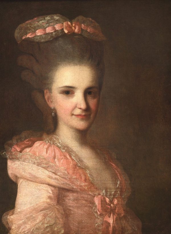 Lady in a Pink Dress by Fyodor Rokotov