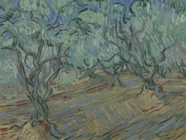 Olive Grove Blue by Vincent Van Gogh