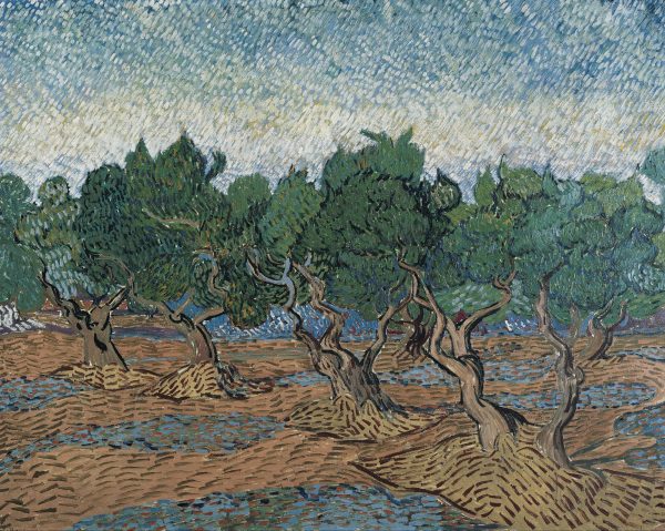 Olive Grove Bright Blue Sky by Vincent Van Gogh
