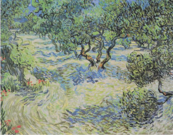 Olive Grove with Picking Figures by Vincent Van Gogh