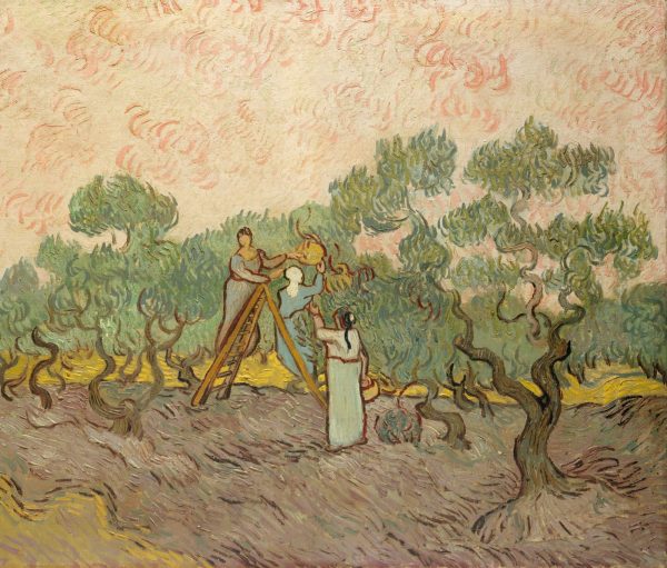 Olive Picking Red by Vincent Van Gogh