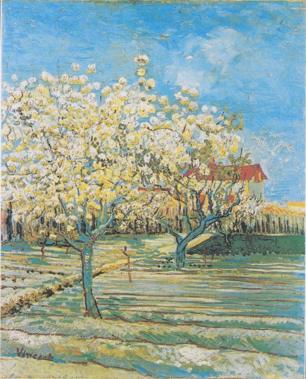 Orchard in Blossom Cyan by Vincent Van Gogh