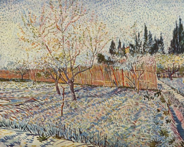 Orchard with Peach Trees in Blossom by Vincent Van Gogh