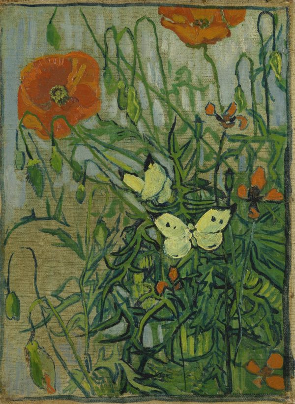Poppies and Butterflies by Vincent Van Gogh