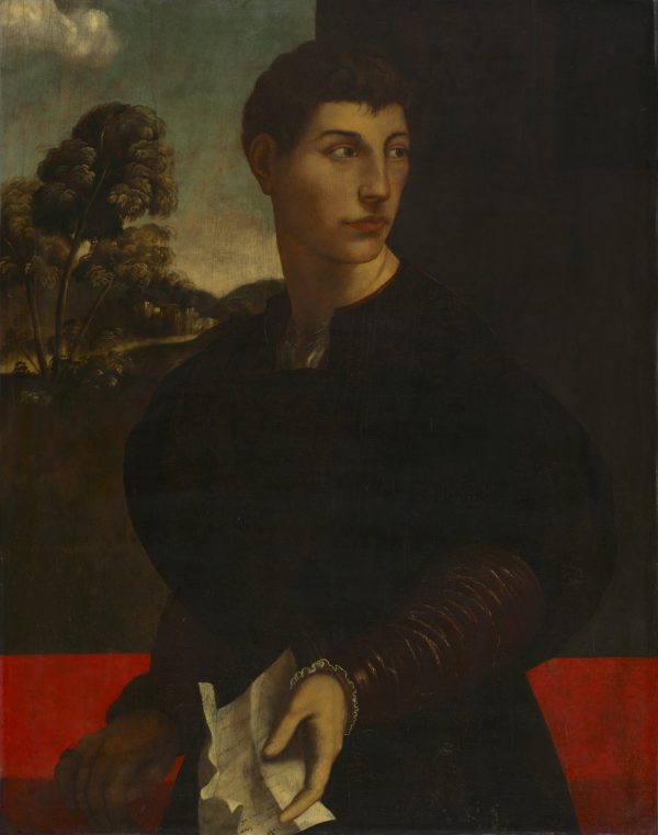 Portrait of a Young Man by Dosso Dossi