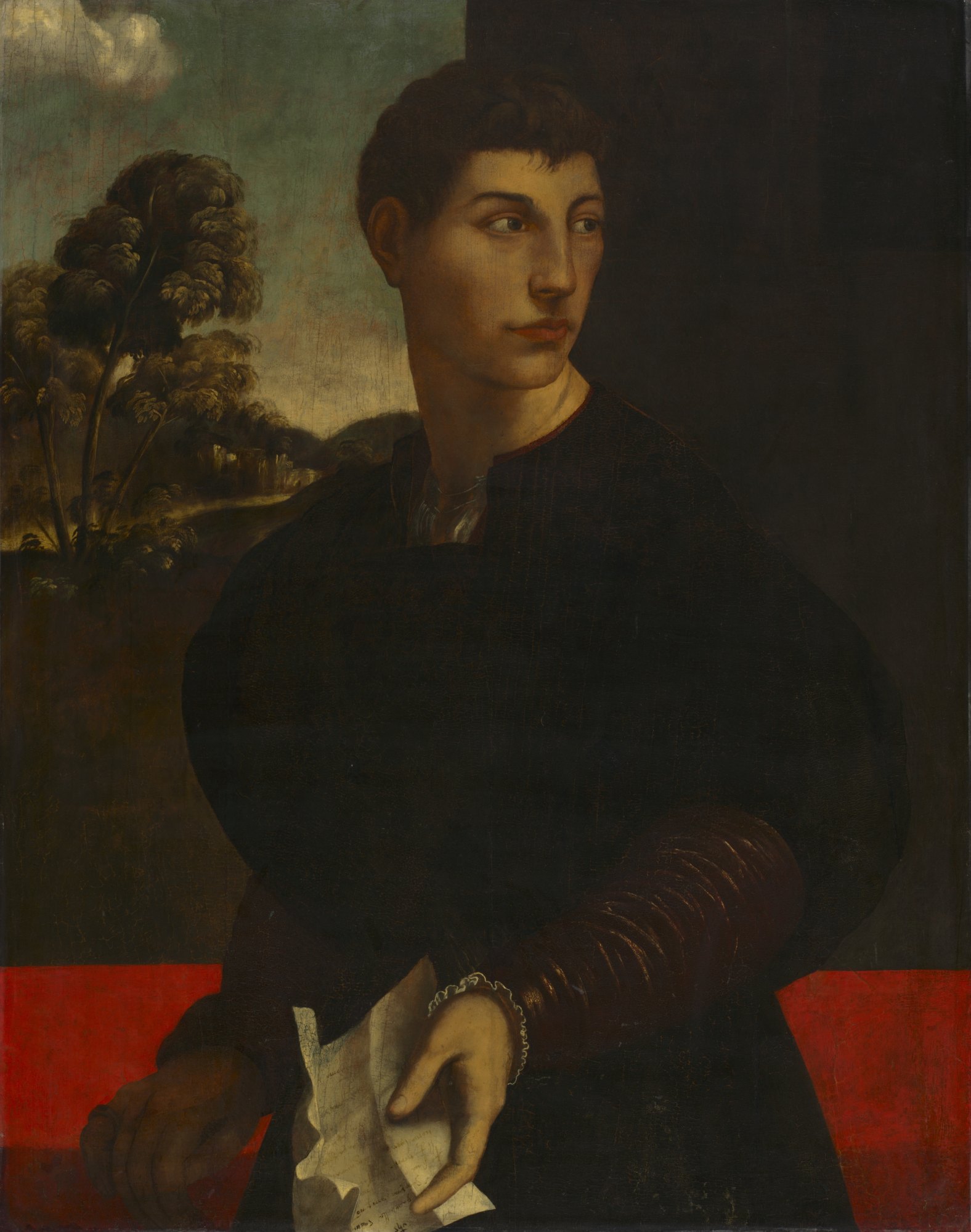 Portrait of a Young Man by Dosso Dossi - hand-painted oil reproduction
