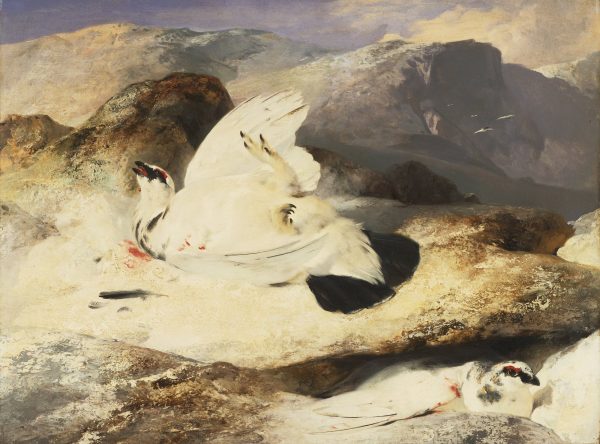 Ptarmigan by Sir Edwin Landseer