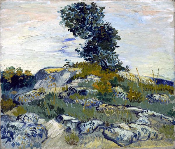 Rocks with Oak Tree by Vincent Van Gogh