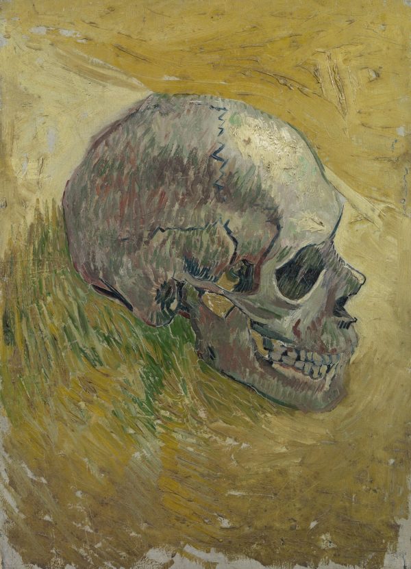 Skull by Vincent Van Gogh