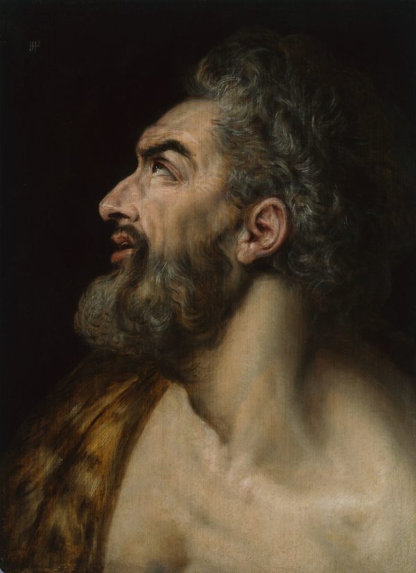 Study Head of a Bearded Man by Frans Floris