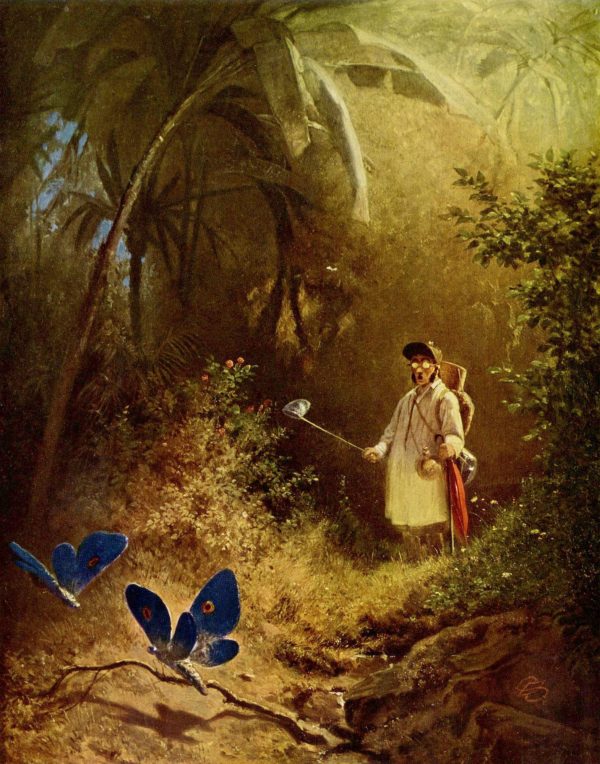 The Butterfly Catcher by Carl Spitzweg