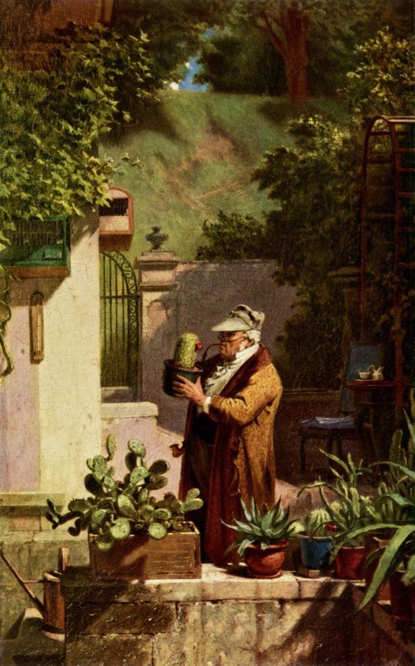 The Cactus Friend by Carl Spitzweg