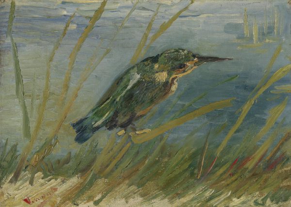 The Kingfisher by Vincent Van Gogh