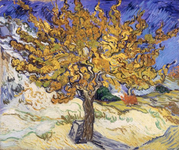 The Mulberry Tree by Vincent Van Gogh