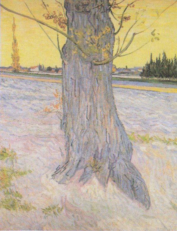 Trunk of an Old Yew Tree by Vincent Van Gogh