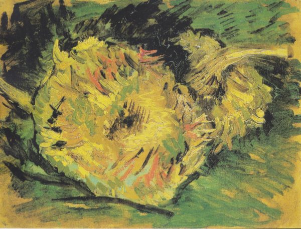 Two Cut Sunflowers by Vincent Van Gogh