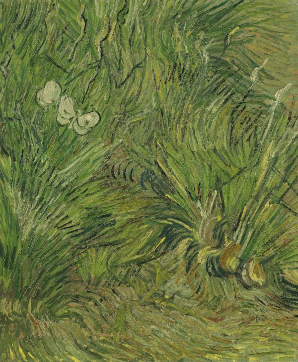 Two White Butterflies by Vincent Van Gogh