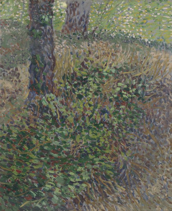 Undergrowth by Vincent Van Gogh