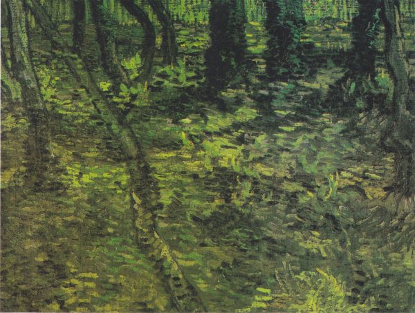 Undergrowth with Ivy by Vincent Van Gogh