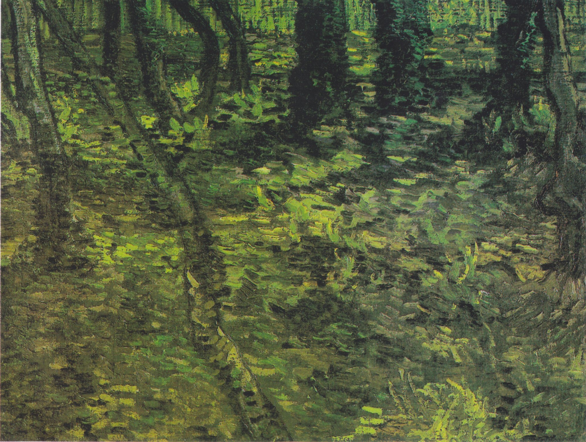 Undergrowth with Ivy by Vincent Van Gogh - hand-painted oil reproduction