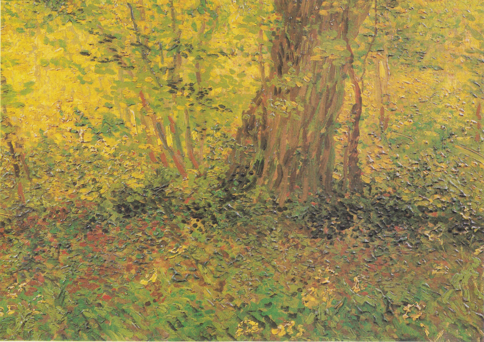 Undergrowth Yellow by Vincent Van Gogh - hand-painted oil reproduction