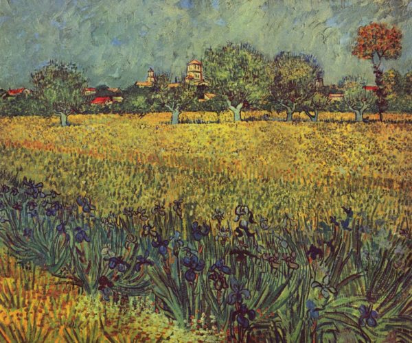 View of Arles with Irises by Vincent Van Gogh