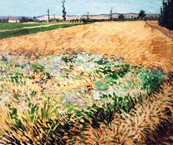 Wheat Field with the Alpilles Foothills in the Background by Vincent Van Gogh