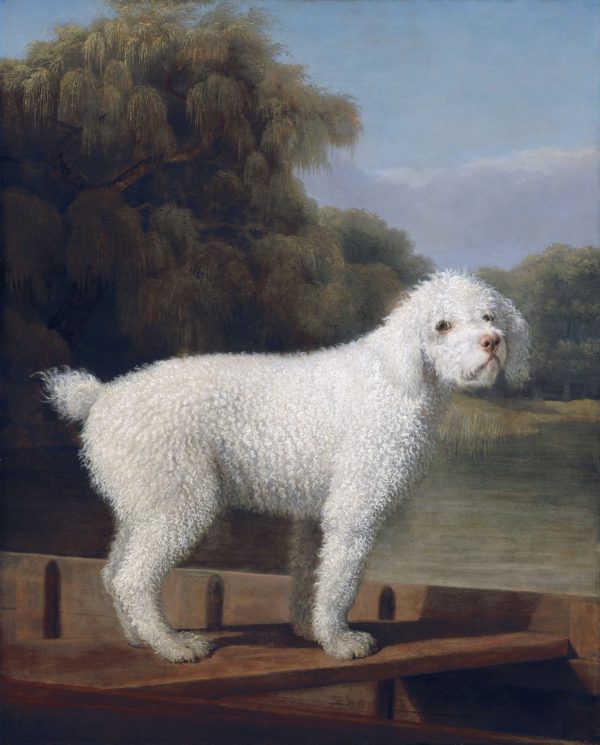 White Poodle in a Punt by George Stubbs