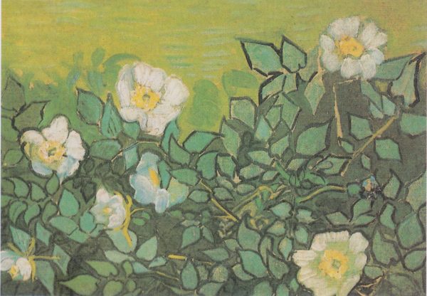 Wild Roses by Vincent Van Gogh