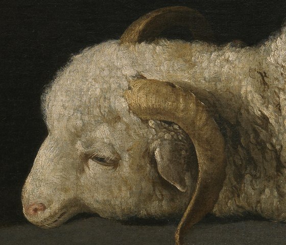 The head of the lamb resting on the stone, eyes half closed, with small curling horns