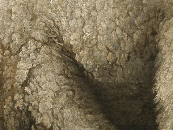 Close-up of the lamb's fleece painted in thick curls of white and cream